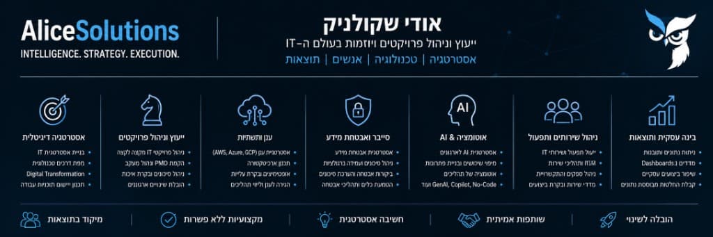 אודי שקולניק — מפת שירותים: אסטרטגיה דיגיטלית, ייעוץ וניהול פרויקטים, ענן ותשתיות, סייבר ואבטחת מידע, אוטומציה ו־AI, ניהול שירותים ותפעול, בינה עסקית ותוצאות